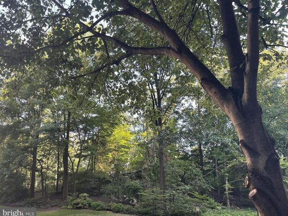 203 Yoakum Parkway 1807, Alexandria VA 22304