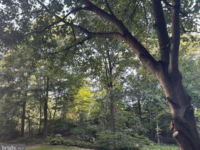 203 Yoakum Parkway 1807, Alexandria VA 22304