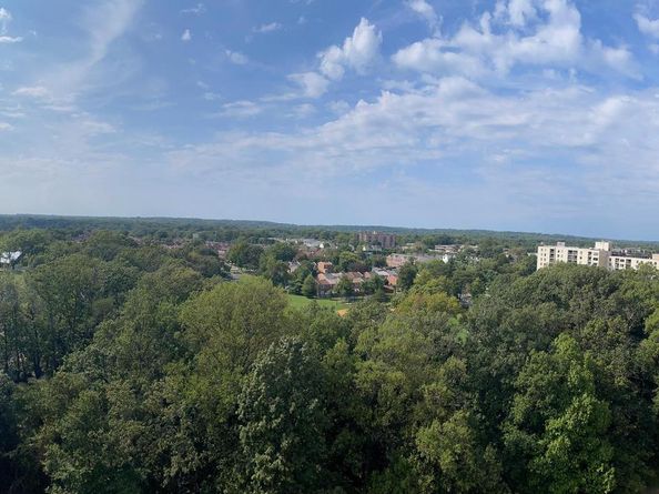 203 Yoakum Parkway 1807, Alexandria VA 22304