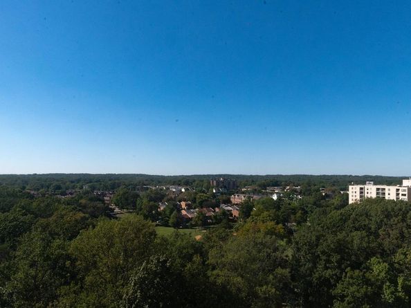 203 Yoakum Parkway 1807, Alexandria VA 22304