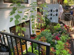 1717 Euclid Street NW 1, Washington DC 20009