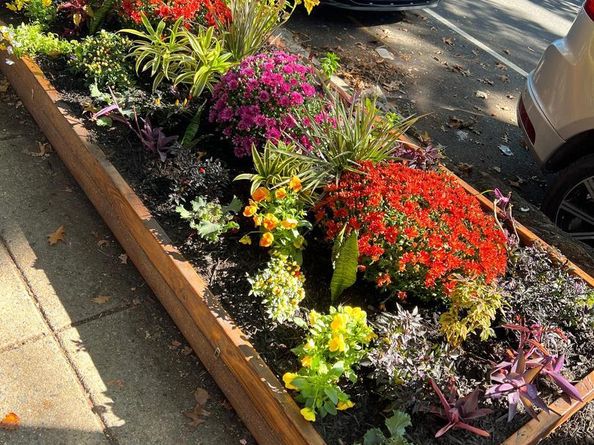 1717 Euclid Street NW 1, Washington DC 20009