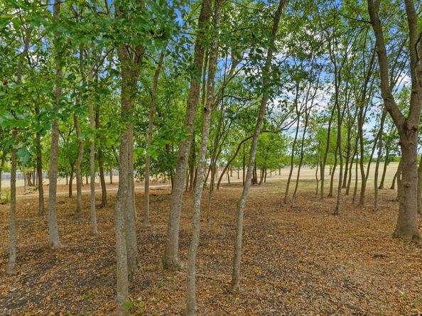 1020 Portchester Castle PATH, Pflugerville TX 78660