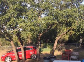 15109 Blanchard DR, Austin TX 78734