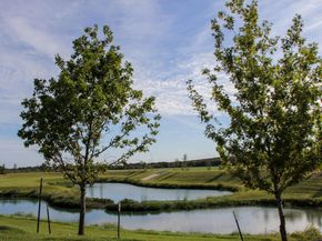 9801 Petrichor BLVD, Manor TX 78653