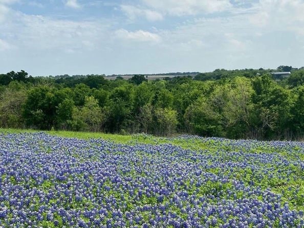 9801 Petrichor BLVD, Manor TX 78653