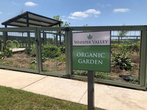 9801 Petrichor BLVD, Manor TX 78653