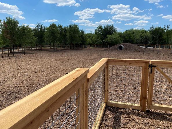 9801 Petrichor BLVD, Manor TX 78653