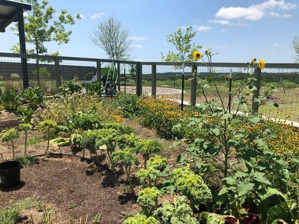 9801 Petrichor BLVD, Manor TX 78653