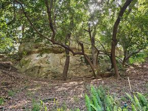 432 Fernwood Pacific, Topanga CA 90290