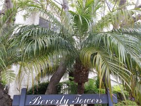 1115 S Elm Drive 301, Los Angeles CA 90035