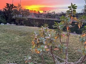 2215 Golden, Newport Beach CA 92660