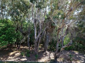 2412 Altisma Way C, Carlsbad CA 92009