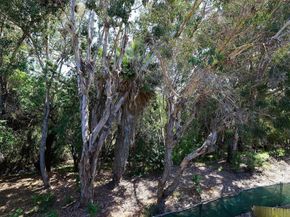 2412 Altisma Way C, Carlsbad CA 92009