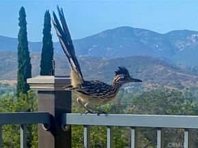 2846 Willow Glen Drive, El Cajon CA 92019