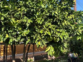 1300 S Date, Alhambra CA 91803