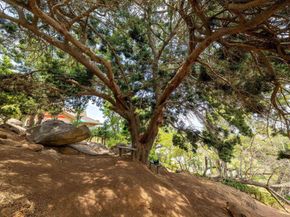 1135 Old Chase Avenue, El Cajon CA 92020