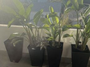 21 Via Marina 7, Marina Del Rey CA 90292