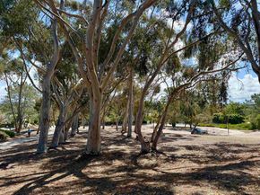 3601 Bernwood Pl 68, San Diego CA 92130