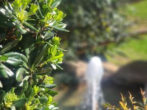 4011 Layang Layang Cir F, Carlsbad CA 92008