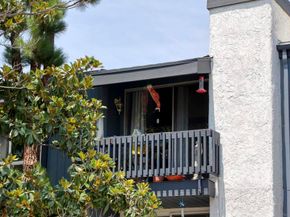 5003 Westpark Dr. 203, Valley Village CA 91601