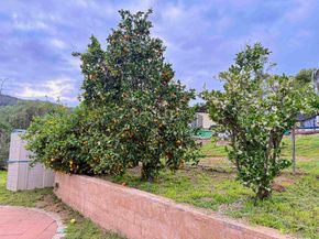 8918 Westhill Rd, Lakeside CA 92040