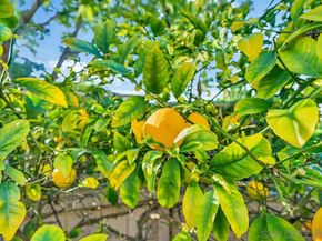 18910 Caminito Cantilena 10, San Diego CA 92128