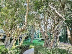 2160 Century Park East 1903, Los Angeles CA 90067