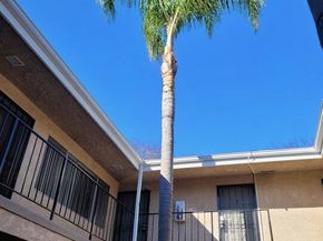 4244 E 5th Street, Long Beach CA 90814