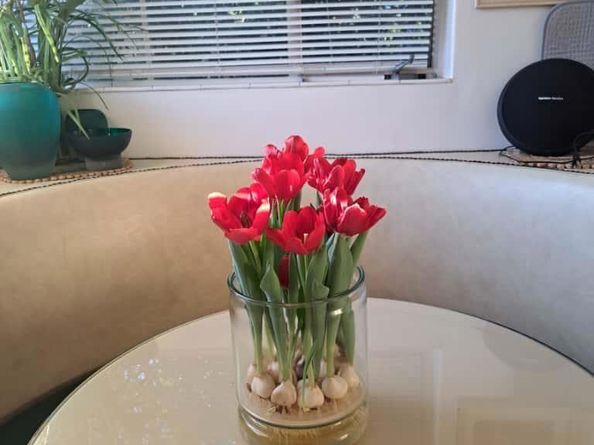 33 35 George St, San Jose CA 95110