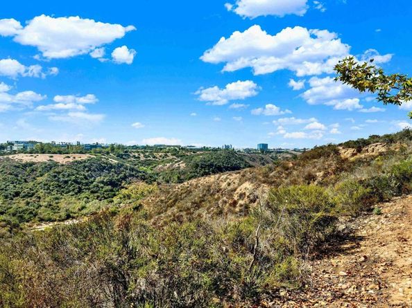 6610 Canopy Ridge Ln 37, San Diego CA 92121