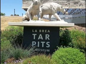 1280 S Sycamore Avenue, Los Angeles CA 90019