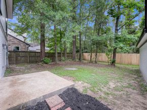 155 Rushwing Place, The Woodlands TX 77381