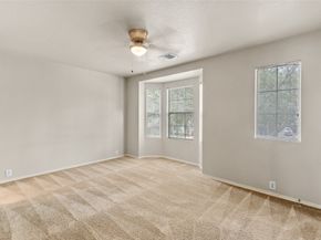 16802 Pine Castle Drive, Houston TX 77095