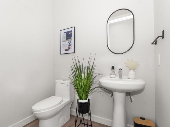 816 Sienna Palm Lane, Houston TX 77008