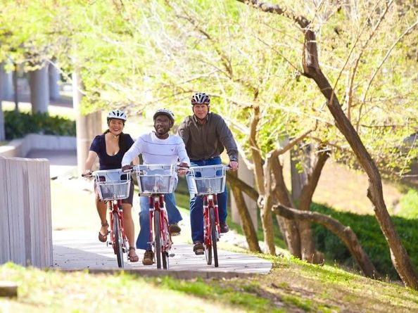 741 Bringhurst Street, Houston TX 77020