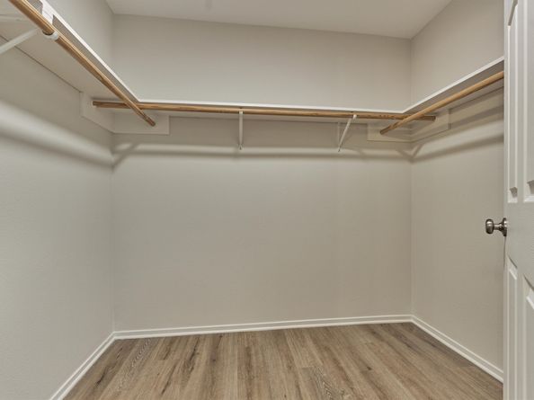 1 Fiddleleaf Court, The Woodlands TX 77381