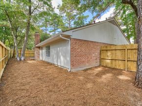 1 Fiddleleaf Court, The Woodlands TX 77381