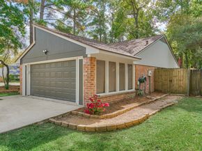 1 Fiddleleaf Court, The Woodlands TX 77381