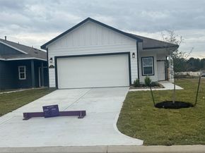 16706 Brighter Blooms Avenue, Porter TX 77365