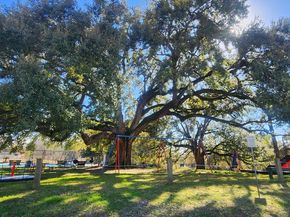 3319 Shadowcrest Lane, Spring TX 77380