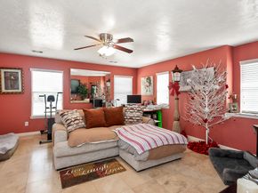 12610 Skyview Creek Court, Houston TX 77047