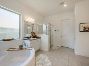 18815 Tindarey Birch Lane, New Caney TX 77357