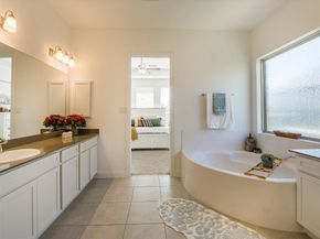 18815 Tindarey Birch Lane, New Caney TX 77357