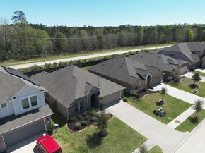 19043 Pinewood Grove Trail, New Caney TX 77357