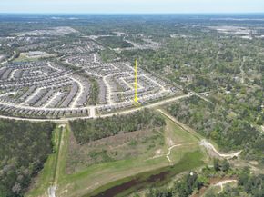 19043 Pinewood Grove Trail, New Caney TX 77357