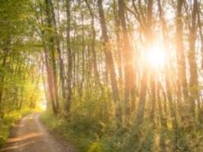 2027 Forest Stream Way, Conroe TX 77304