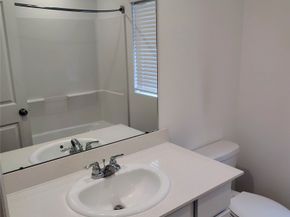 20921 Cropani Shadow Drive, New Caney TX 77357