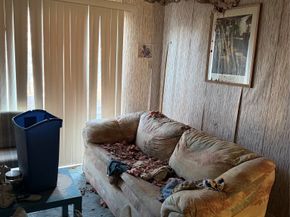 11820 Spring Grove Drive, Houston TX 77099