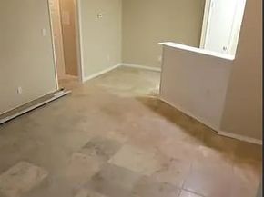 12380 Sandpiper Drive 403, Houston TX 77035